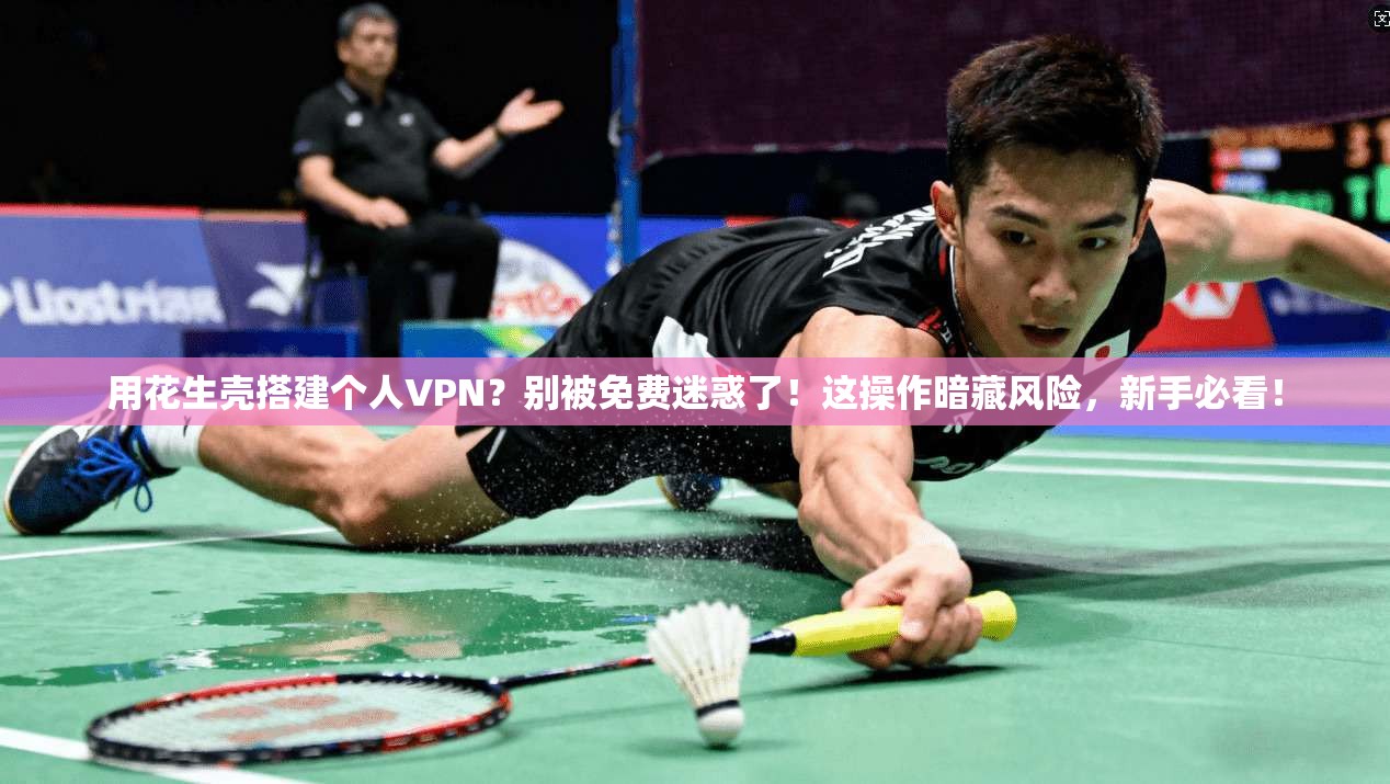 用花生壳搭建个人VPN?别被免费迷惑了!这操作暗藏风险,新手必看!