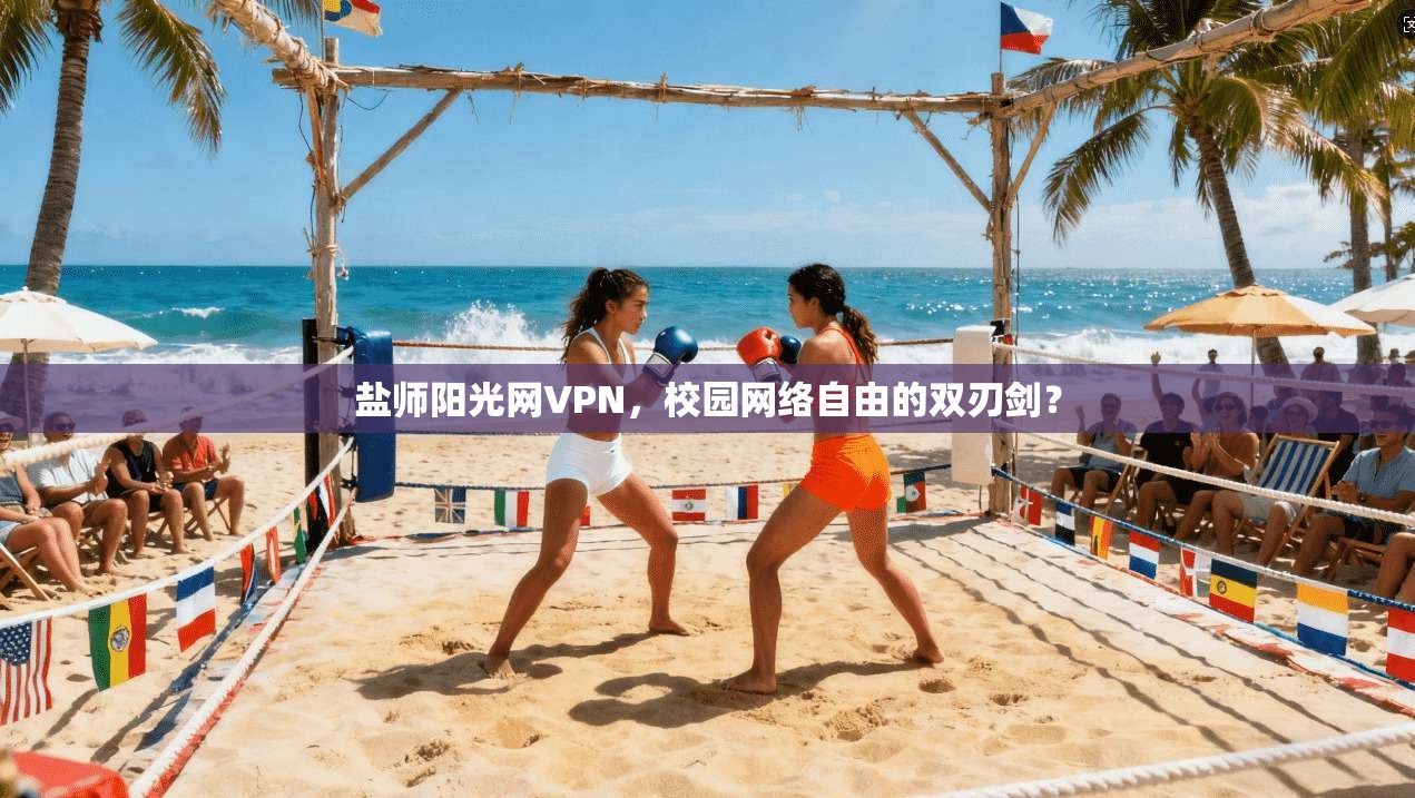 盐师阳光网VPN，校园网络自由的双刃剑？