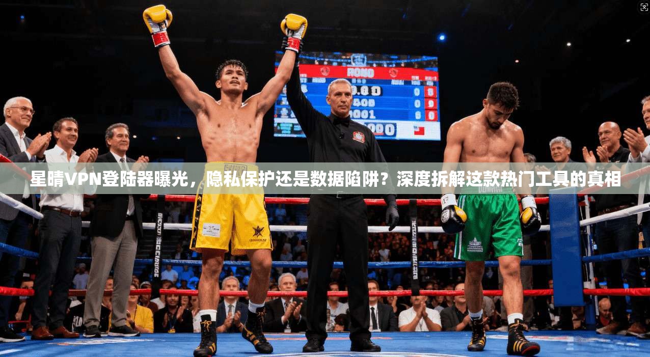 星晴VPN登陆器曝光，隐私保护还是数据陷阱？深度拆解这款热门工具的真相