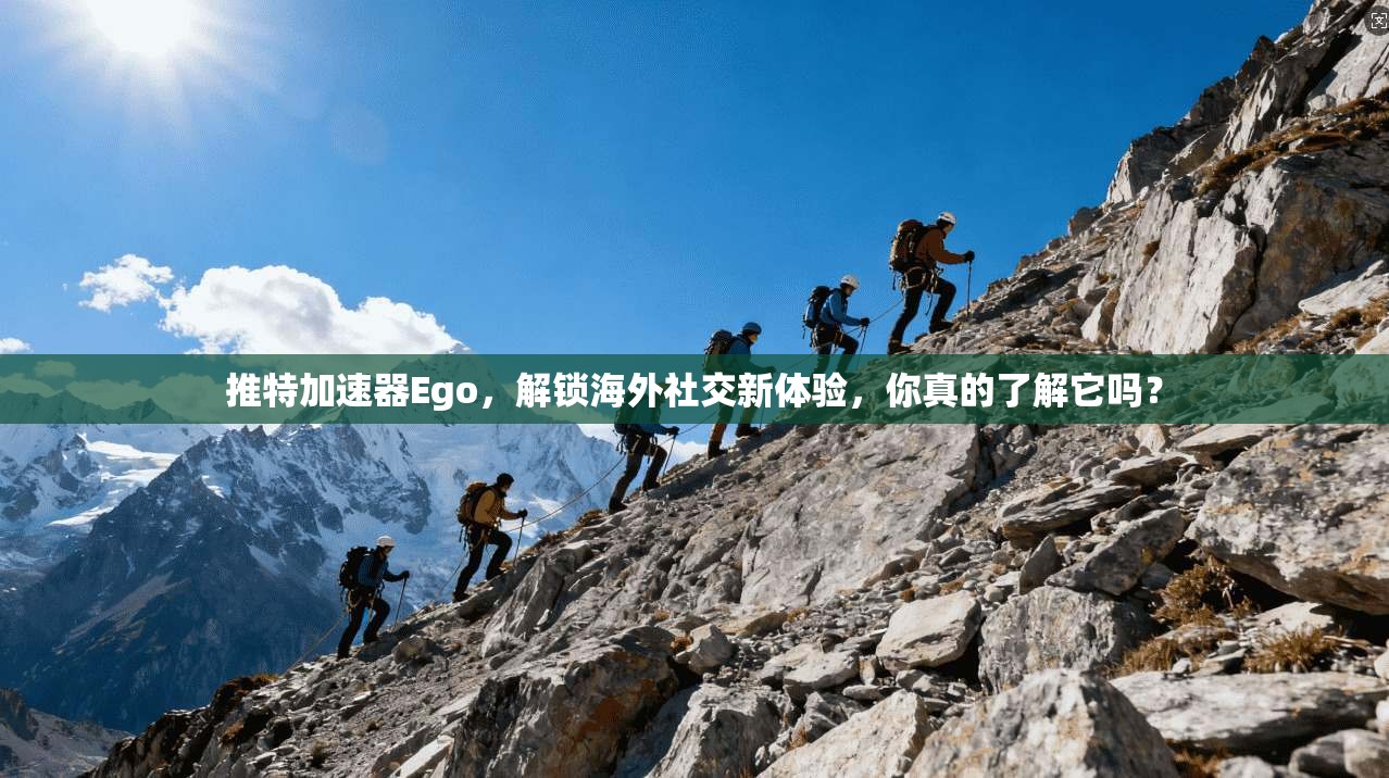 推特加速器Ego,解锁海外社交新体验,你真的了解它吗?