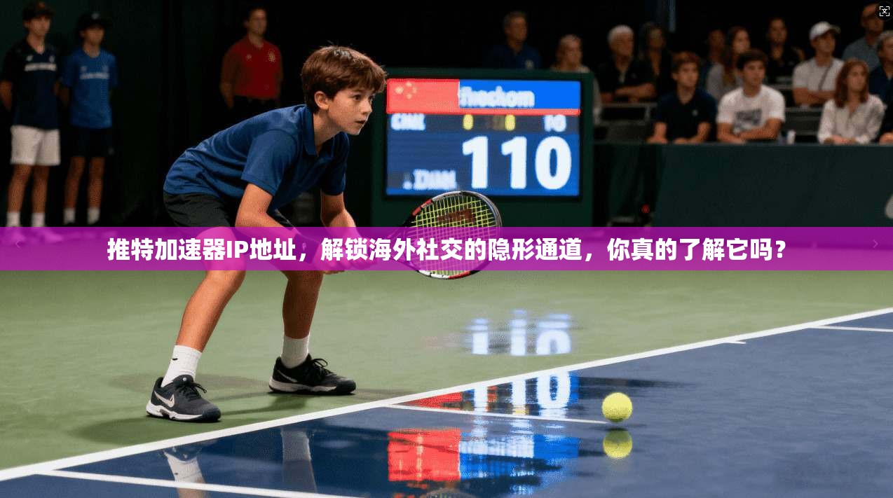 推特加速器IP地址,解锁海外社交的隐形通道,你真的了解它吗?