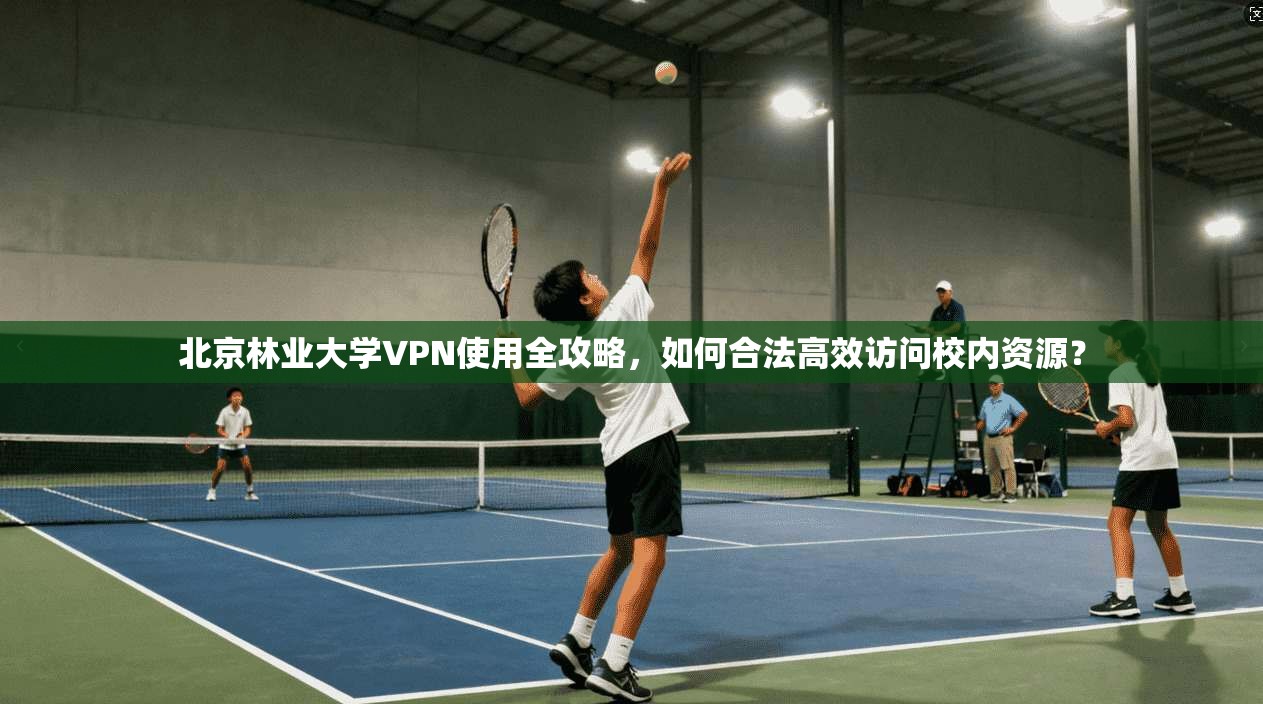 北京林业大学VPN使用全攻略,如何合法高效访问校内资源?