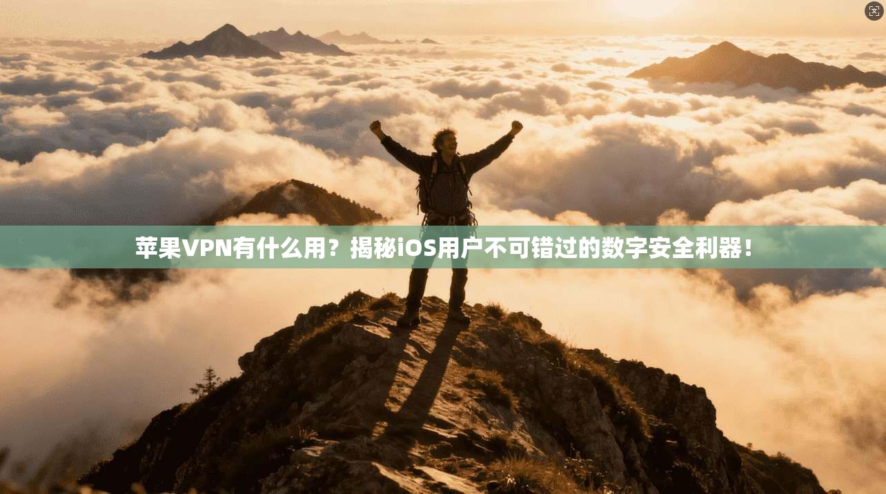 苹果VPN有什么用?揭秘iOS用户不可错过的数字安全利器!