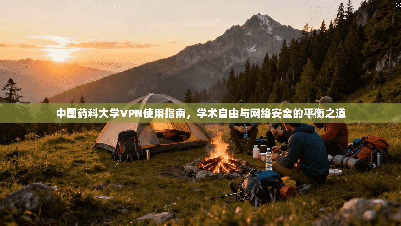 中国药科大学VPN使用指南，学术自由与网络安全的平衡之道