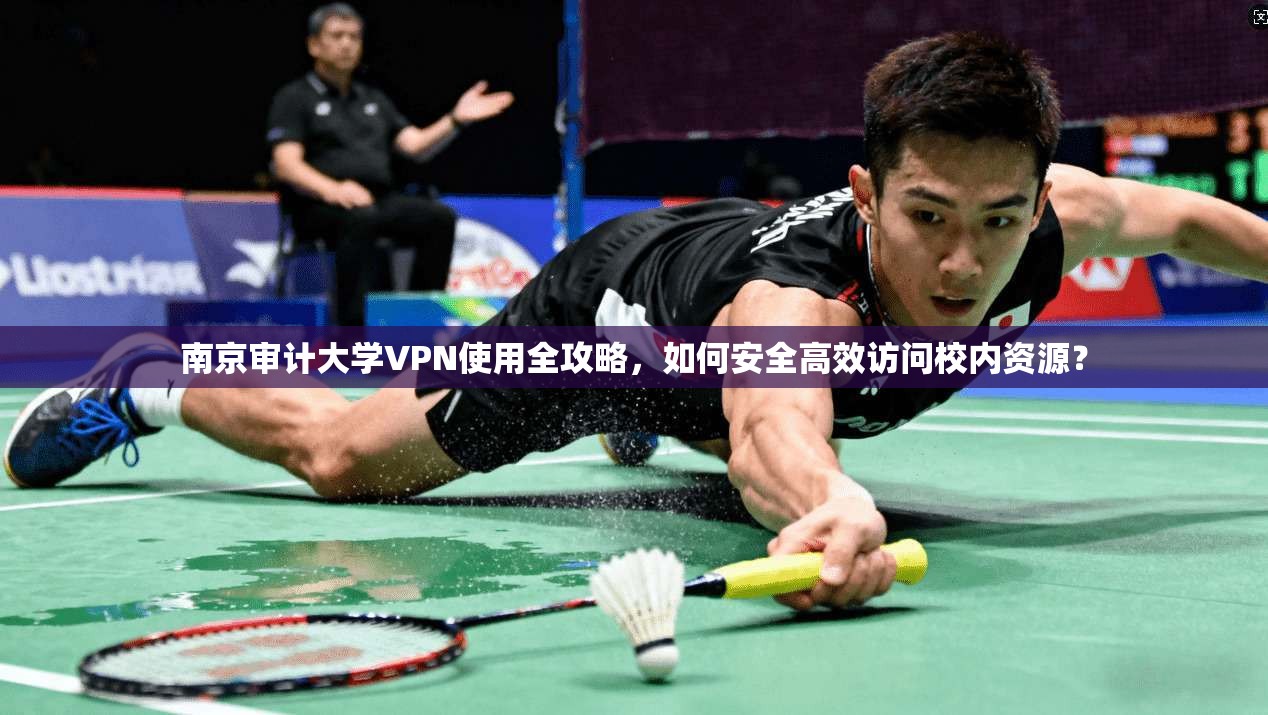 南京审计大学VPN使用全攻略，如何安全高效访问校内资源？