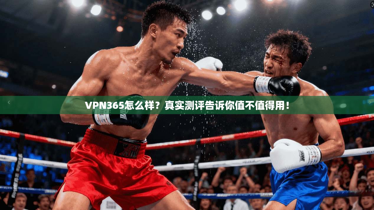 VPN365怎么样？真实测评告诉你值不值得用！