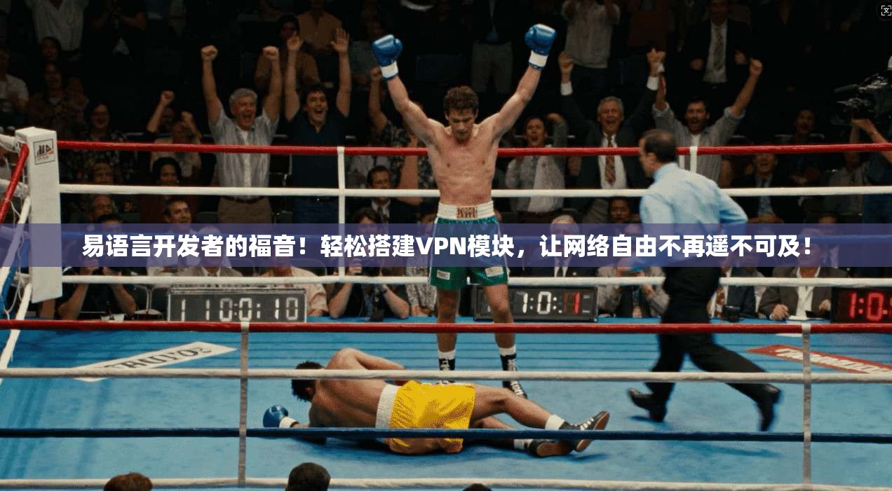 易语言开发者的福音！轻松搭建VPN模块，让网络自由不再遥不可及！