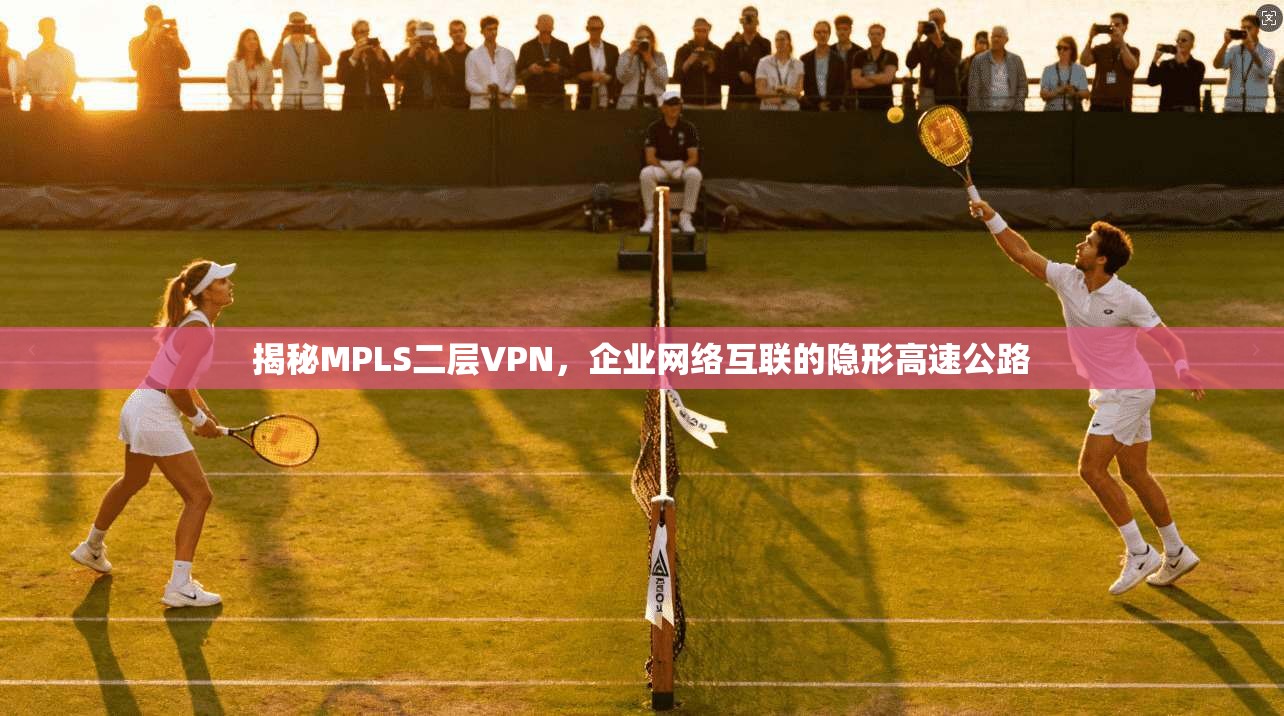 揭秘MPLS二层VPN，企业网络互联的隐形高速公路