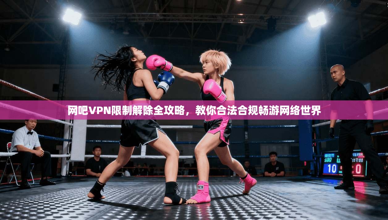 网吧VPN限制解除全攻略，教你合法合规畅游网络世界