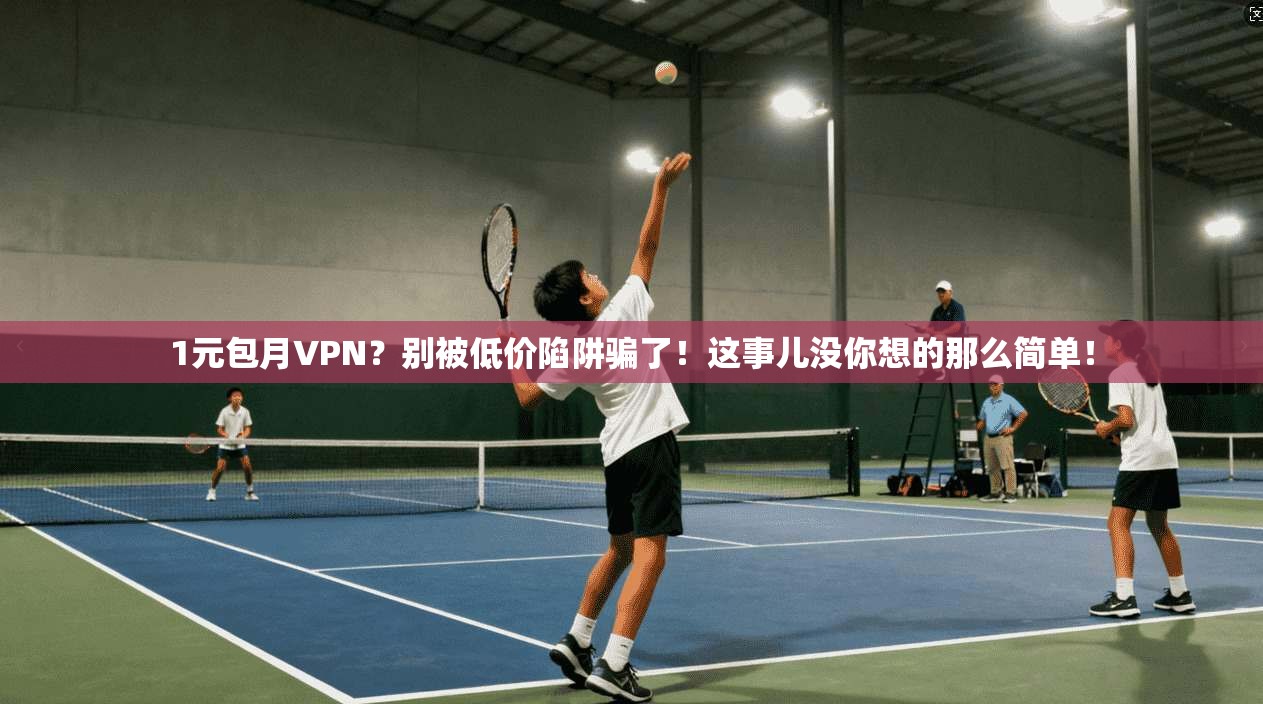 1元包月VPN？别被低价陷阱骗了！这事儿没你想的那么简单！