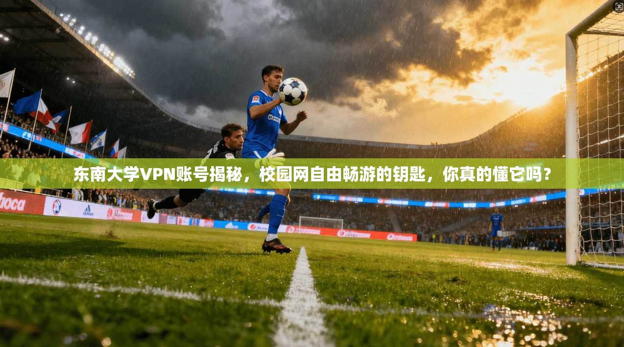 东南大学VPN账号揭秘，校园网自由畅游的钥匙，你真的懂它吗？