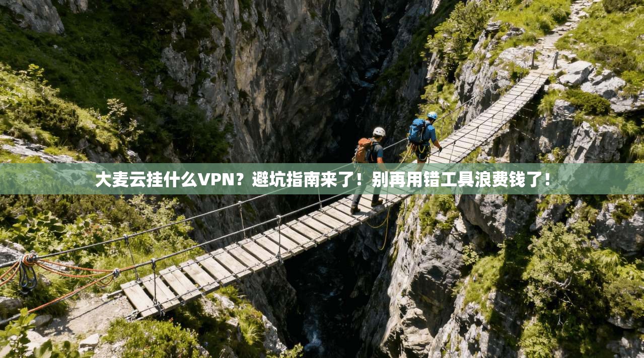 大麦云挂什么VPN？避坑指南来了！别再用错工具浪费钱了！