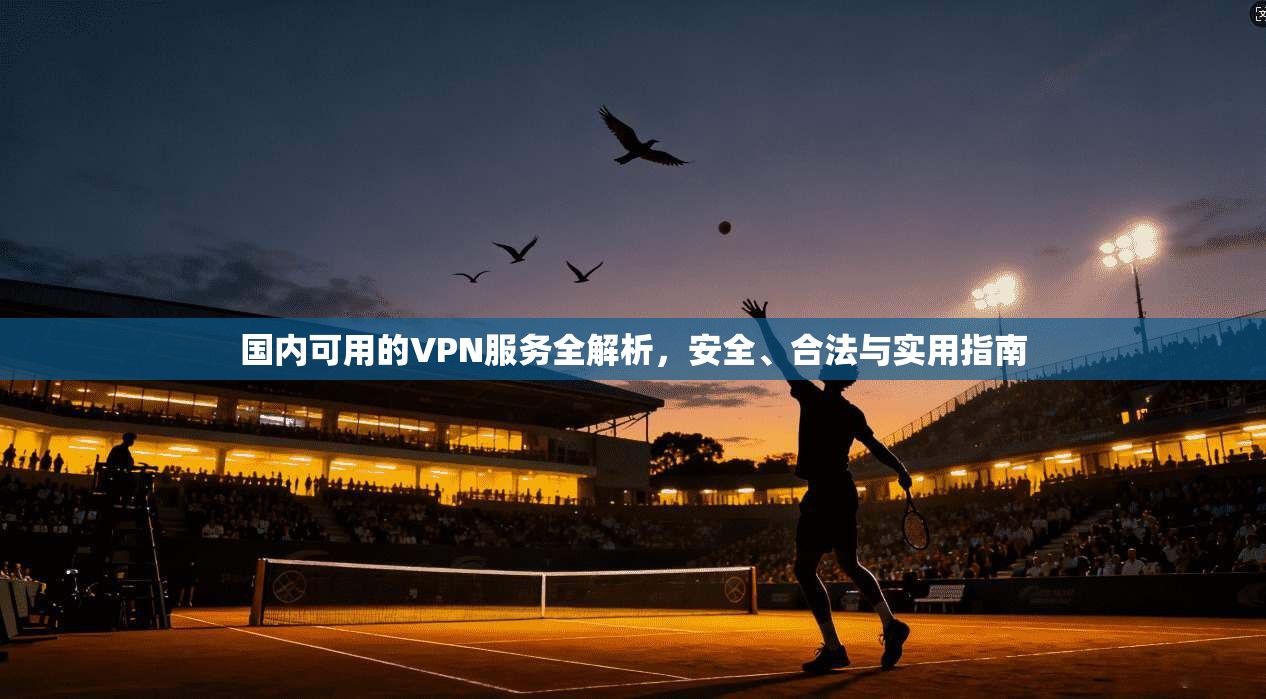 国内可用的VPN服务全解析，安全、合法与实用指南