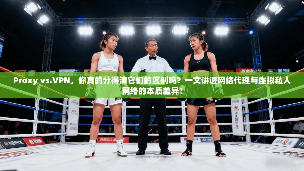 Proxy vs.VPN，你真的分得清它们的区别吗？一文讲透网络代理与虚拟私人网络的本质差异！