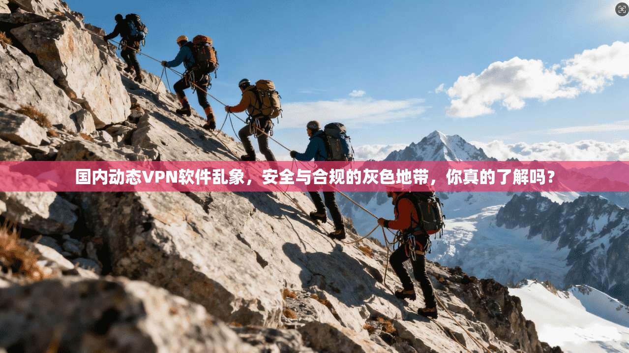 国内动态VPN软件乱象，安全与合规的灰色地带，你真的了解吗？