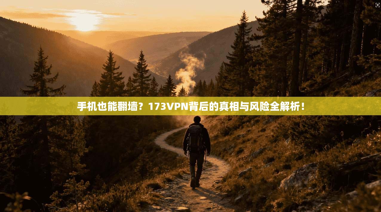 手机也能翻墙？173VPN背后的真相与风险全解析！