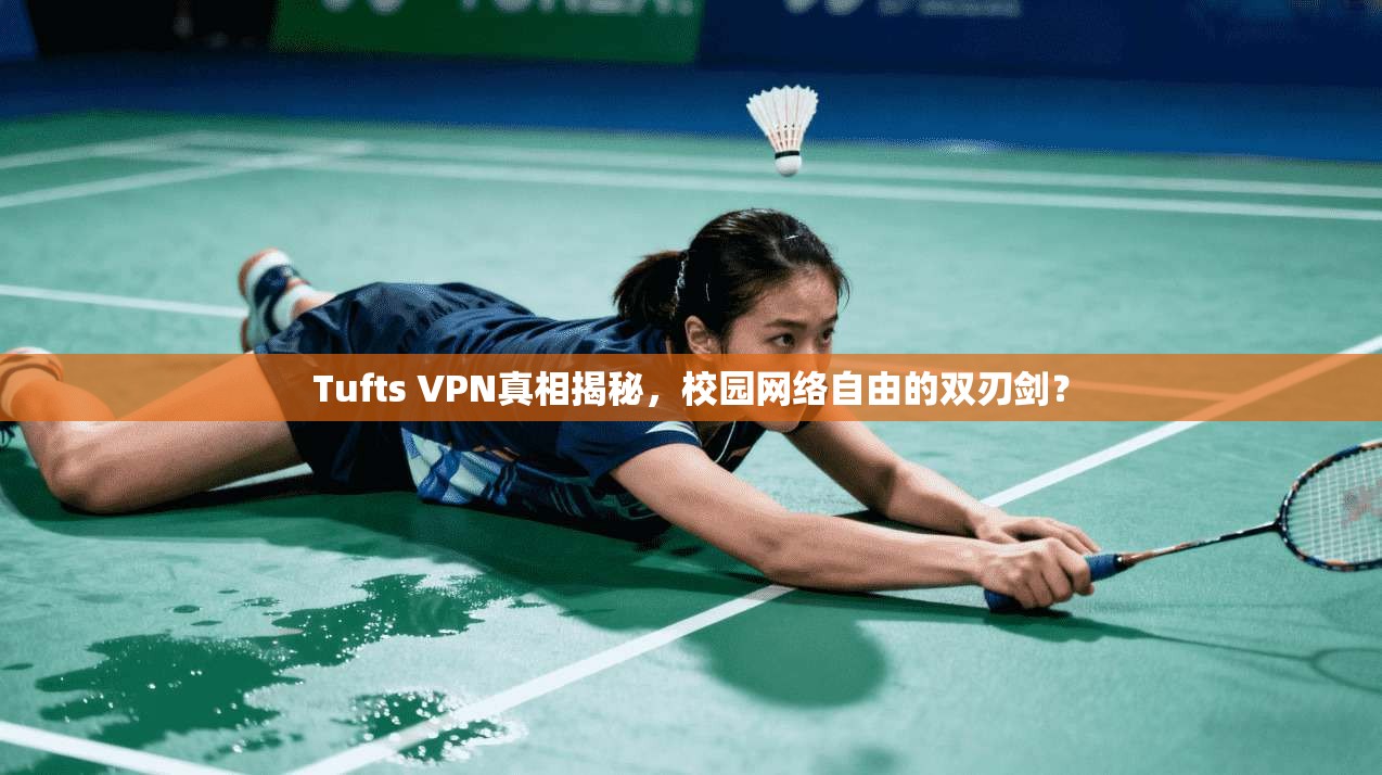 Tufts VPN真相揭秘，校园网络自由的双刃剑？