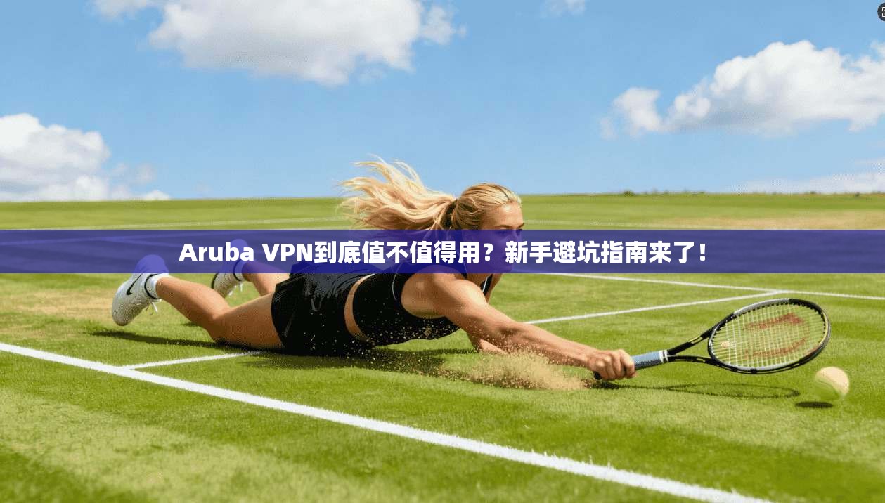 Aruba VPN到底值不值得用？新手避坑指南来了！