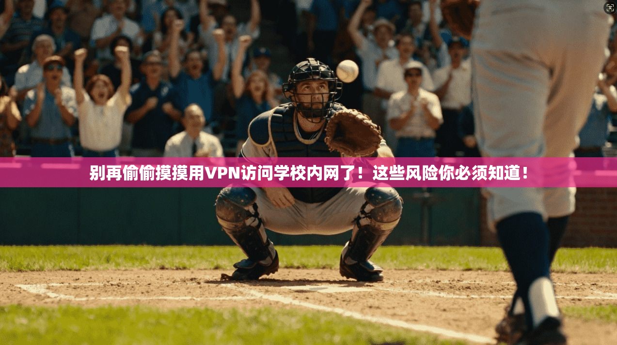 别再偷偷摸摸用VPN访问学校内网了！这些风险你必须知道！