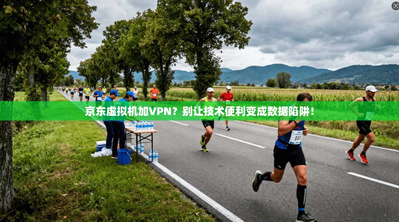 京东虚拟机加VPN？别让技术便利变成数据陷阱！