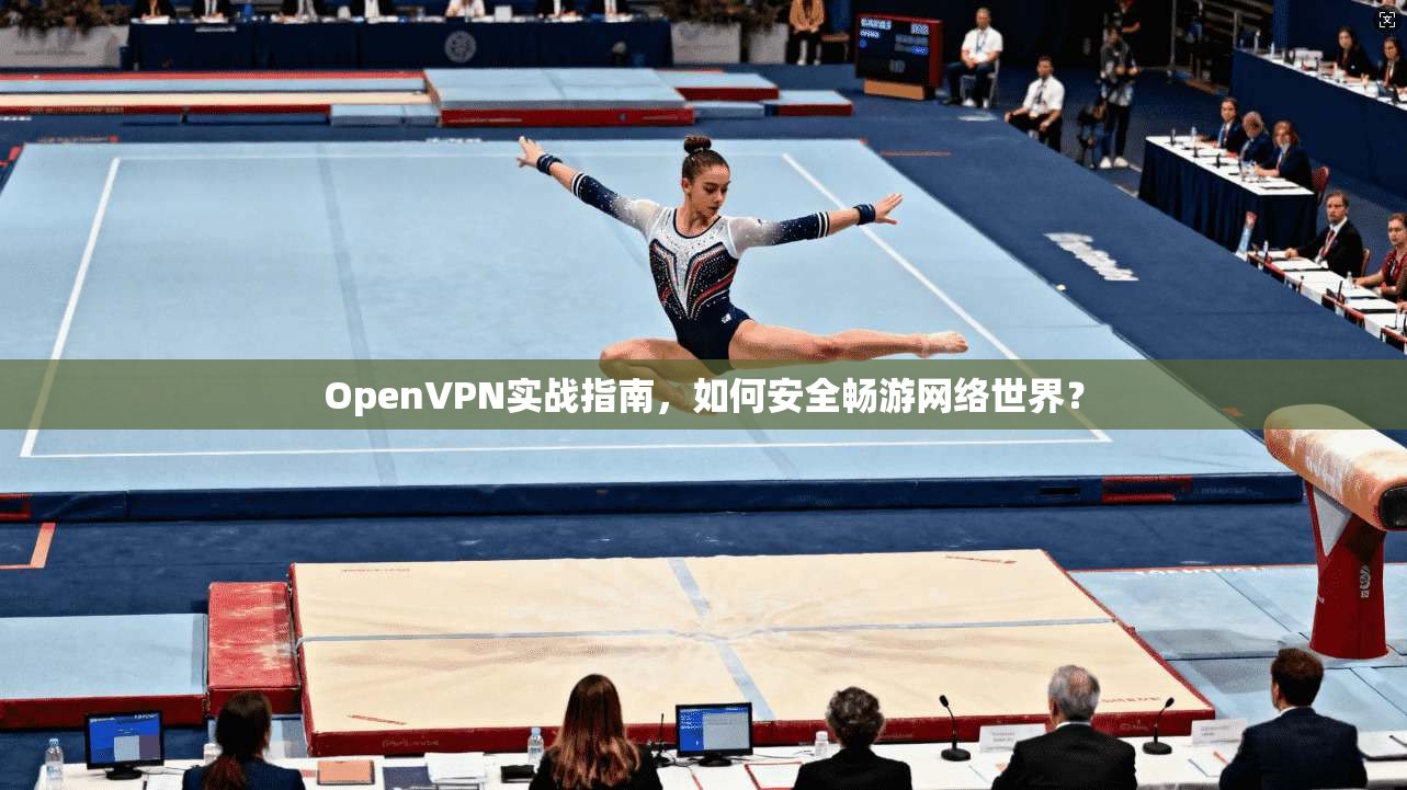 OpenVPN实战指南，如何安全畅游网络世界？