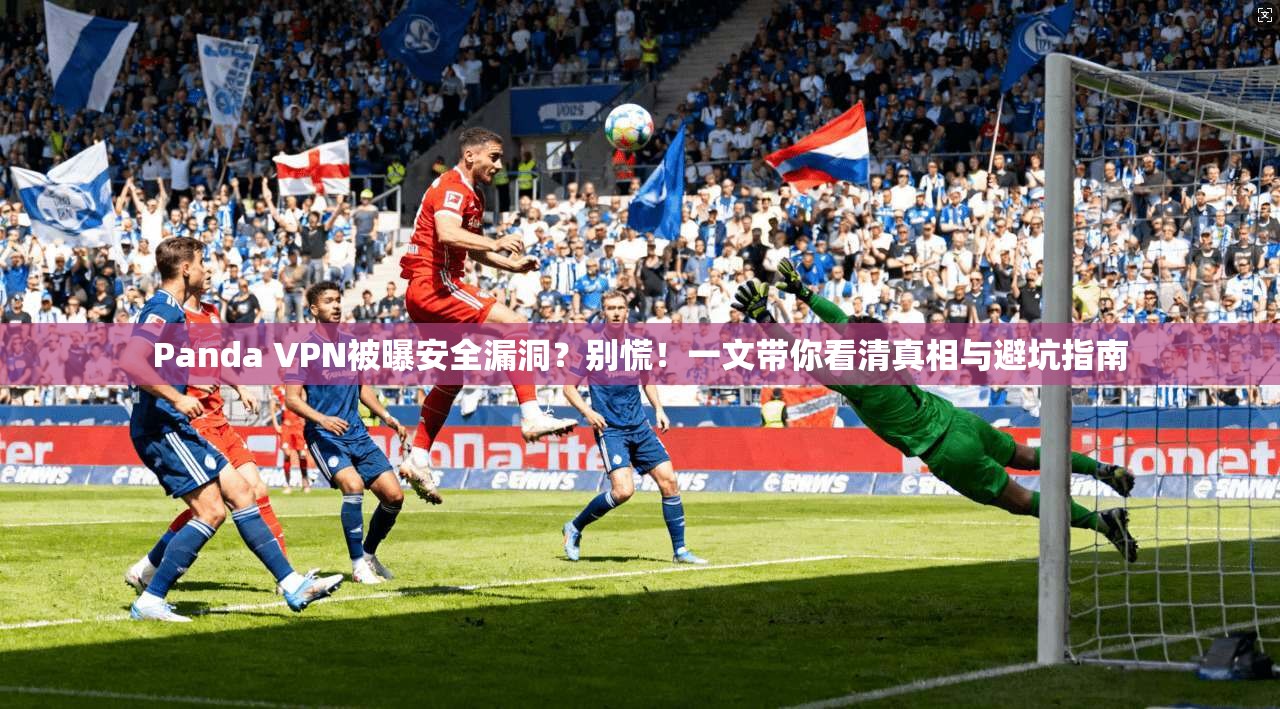 Panda VPN被曝安全漏洞？别慌！一文带你看清真相与避坑指南