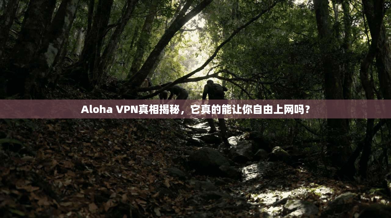 Aloha VPN真相揭秘，它真的能让你自由上网吗？