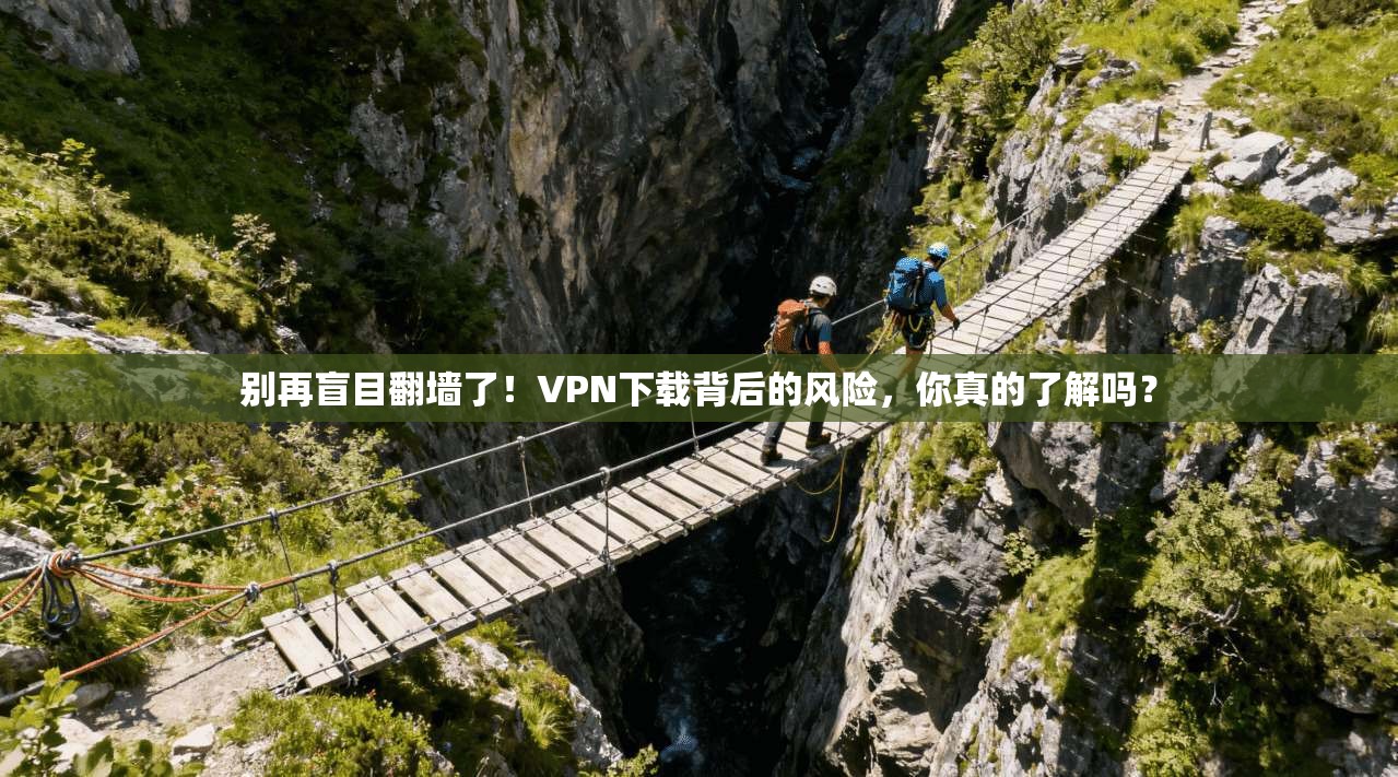 别再盲目翻墙了！VPN下载背后的风险，你真的了解吗？