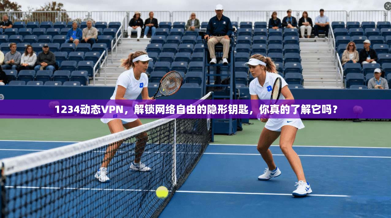 1234动态VPN，解锁网络自由的隐形钥匙，你真的了解它吗？