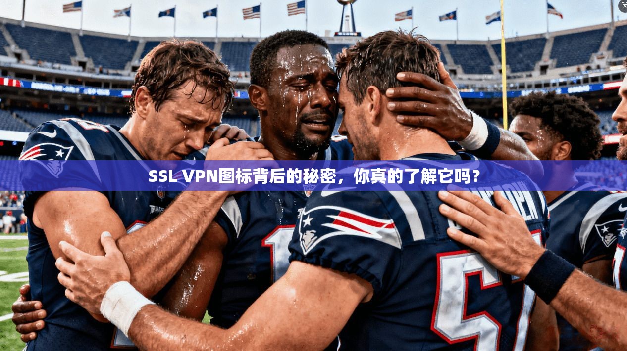 SSL VPN图标背后的秘密，你真的了解它吗？