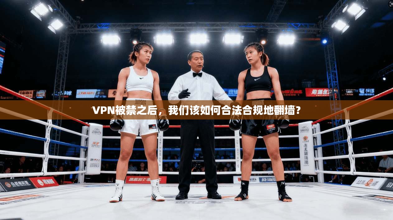 VPN被禁之后，我们该如何合法合规地翻墙？