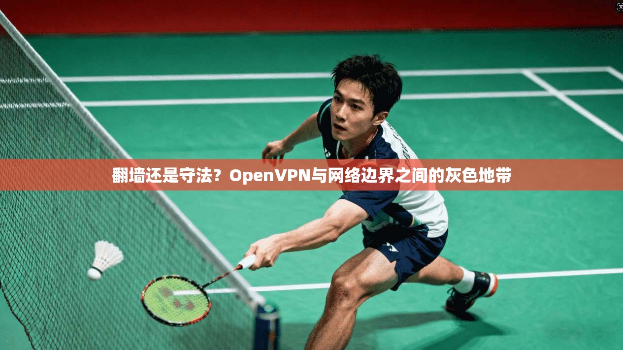 翻墙还是守法？OpenVPN与网络边界之间的灰色地带