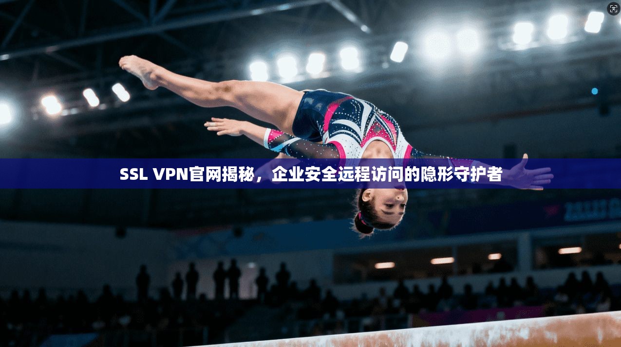 SSL VPN官网揭秘，企业安全远程访问的隐形守护者