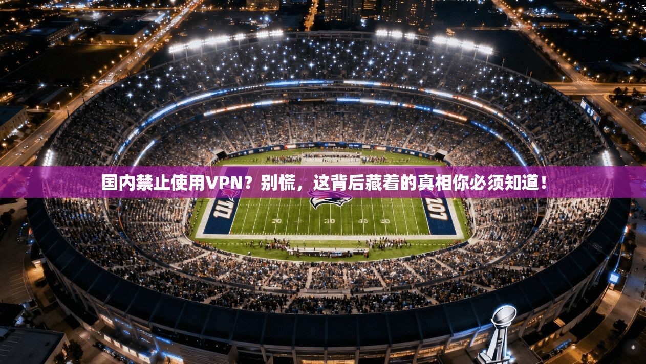国内禁止使用VPN？别慌，这背后藏着的真相你必须知道！