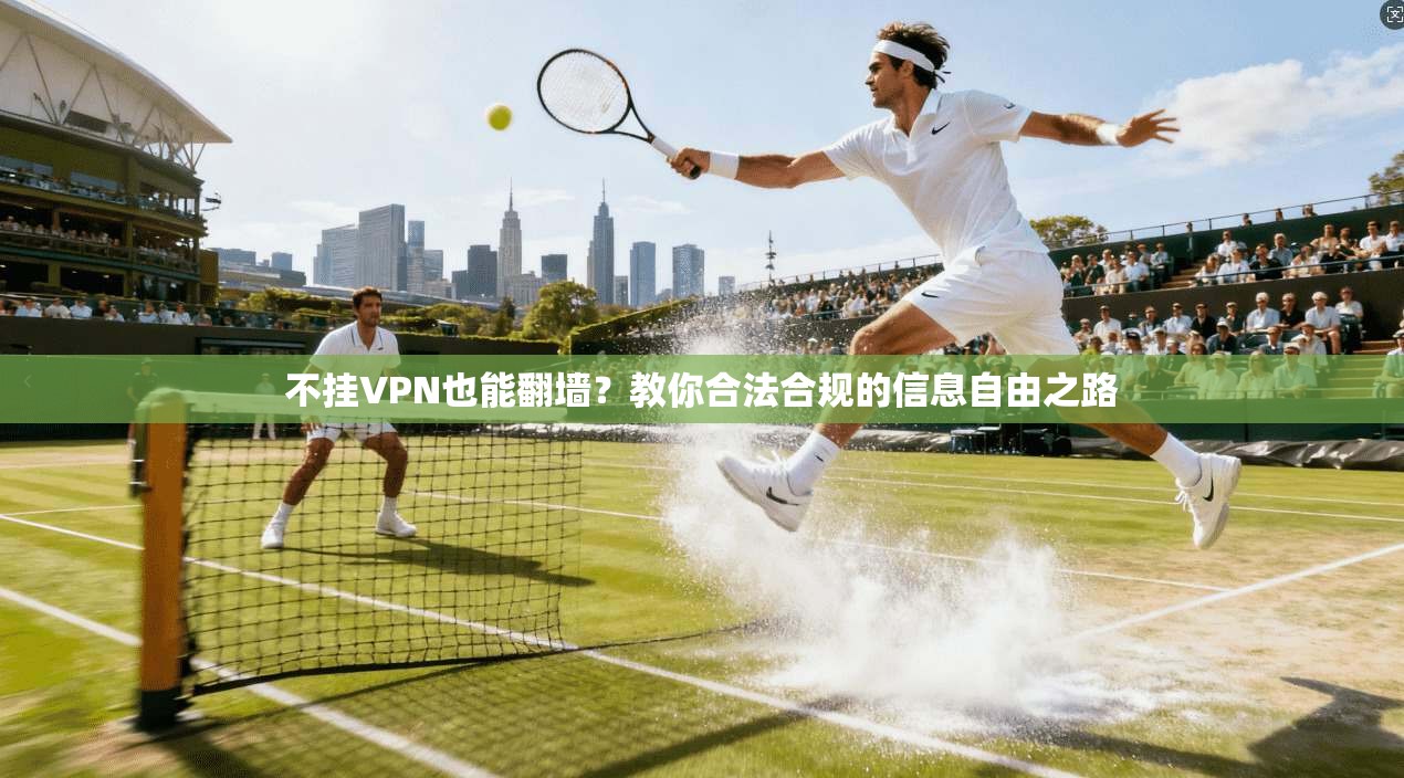 不挂VPN也能翻墙？教你合法合规的信息自由之路