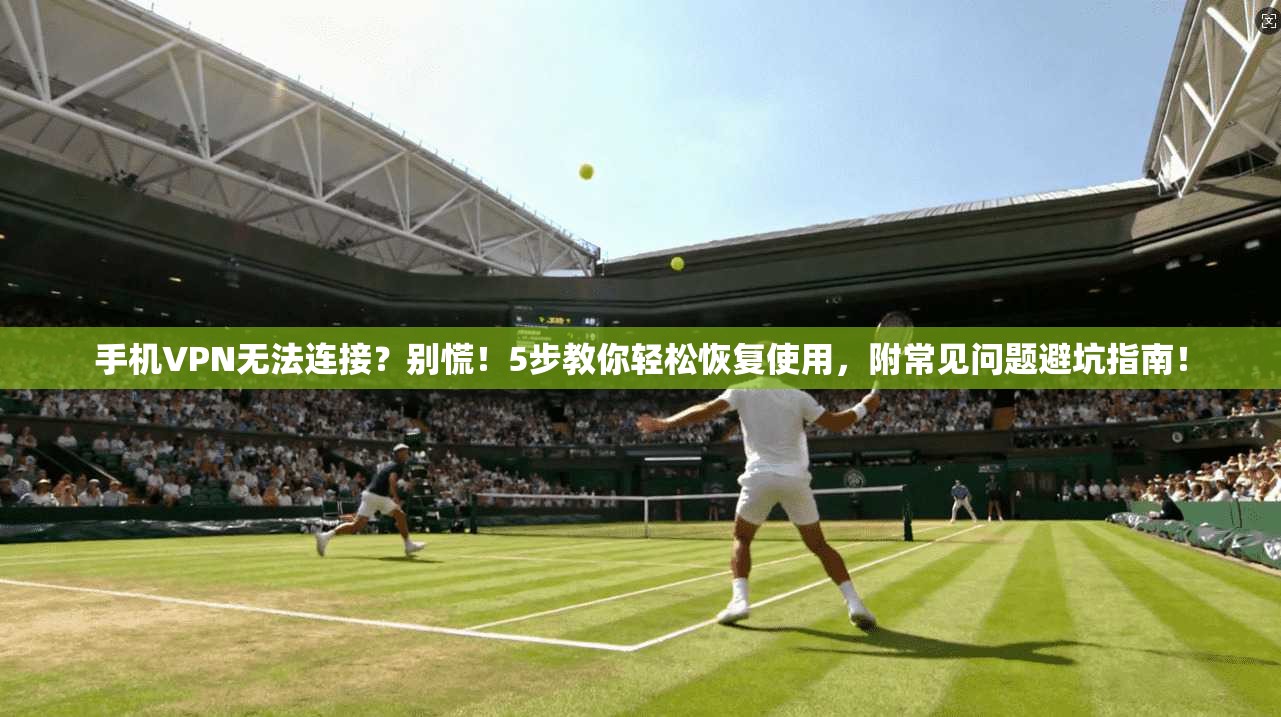 手机VPN无法连接？别慌！5步教你轻松恢复使用，附常见问题避坑指南！