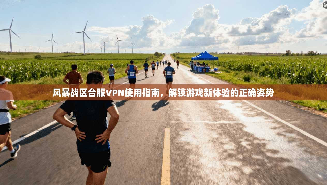 风暴战区台服VPN使用指南，解锁游戏新体验的正确姿势