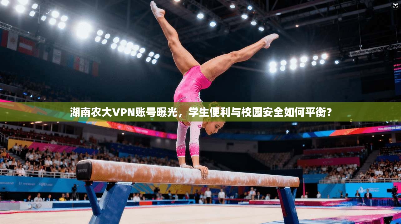 湖南农大VPN账号曝光，学生便利与校园安全如何平衡？