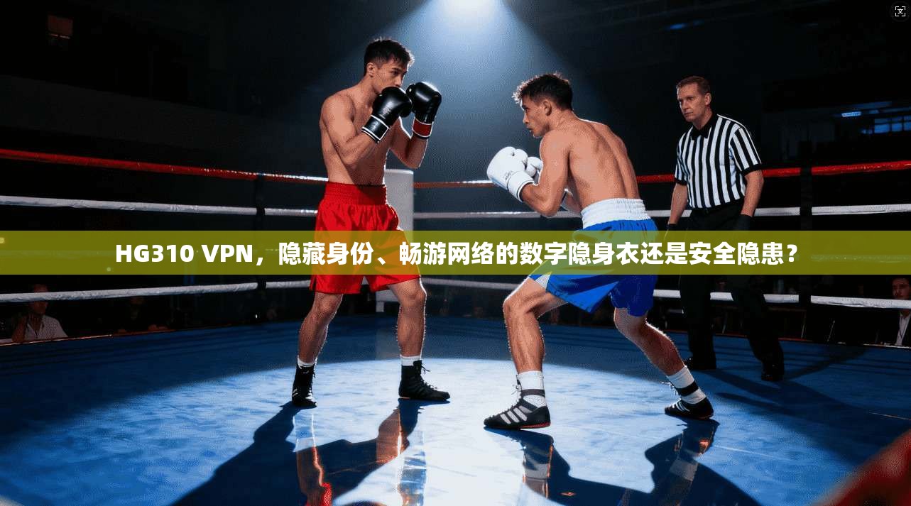 HG310 VPN，隐藏身份、畅游网络的数字隐身衣还是安全隐患？