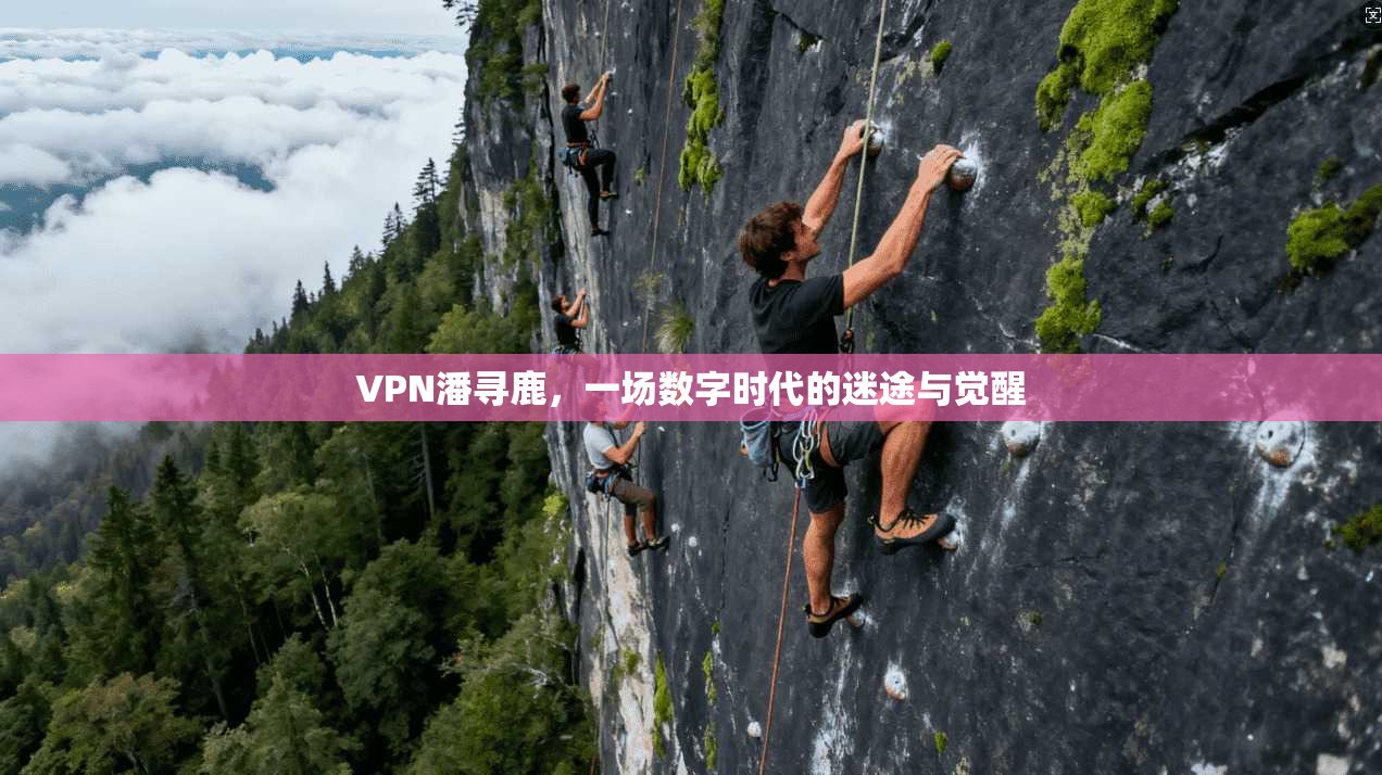 VPN潘寻鹿，一场数字时代的迷途与觉醒