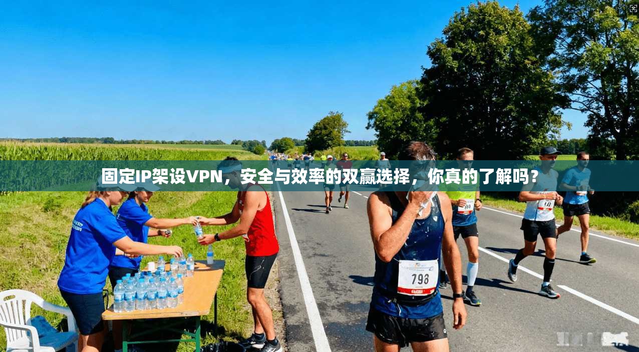 固定IP架设VPN，安全与效率的双赢选择，你真的了解吗？