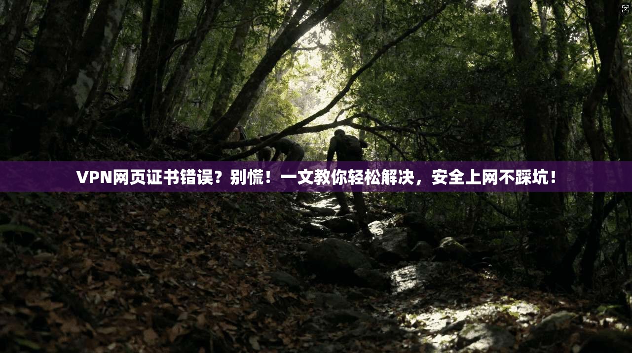 VPN网页证书错误？别慌！一文教你轻松解决，安全上网不踩坑！