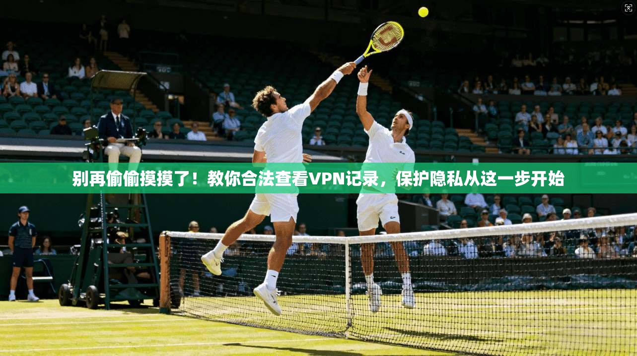 别再偷偷摸摸了！教你合法查看VPN记录，保护隐私从这一步开始