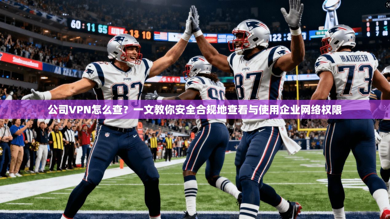 公司VPN怎么查？一文教你安全合规地查看与使用企业网络权限