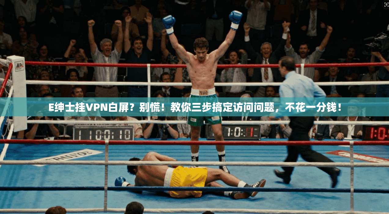 E绅士挂VPN白屏？别慌！教你三步搞定访问问题，不花一分钱！