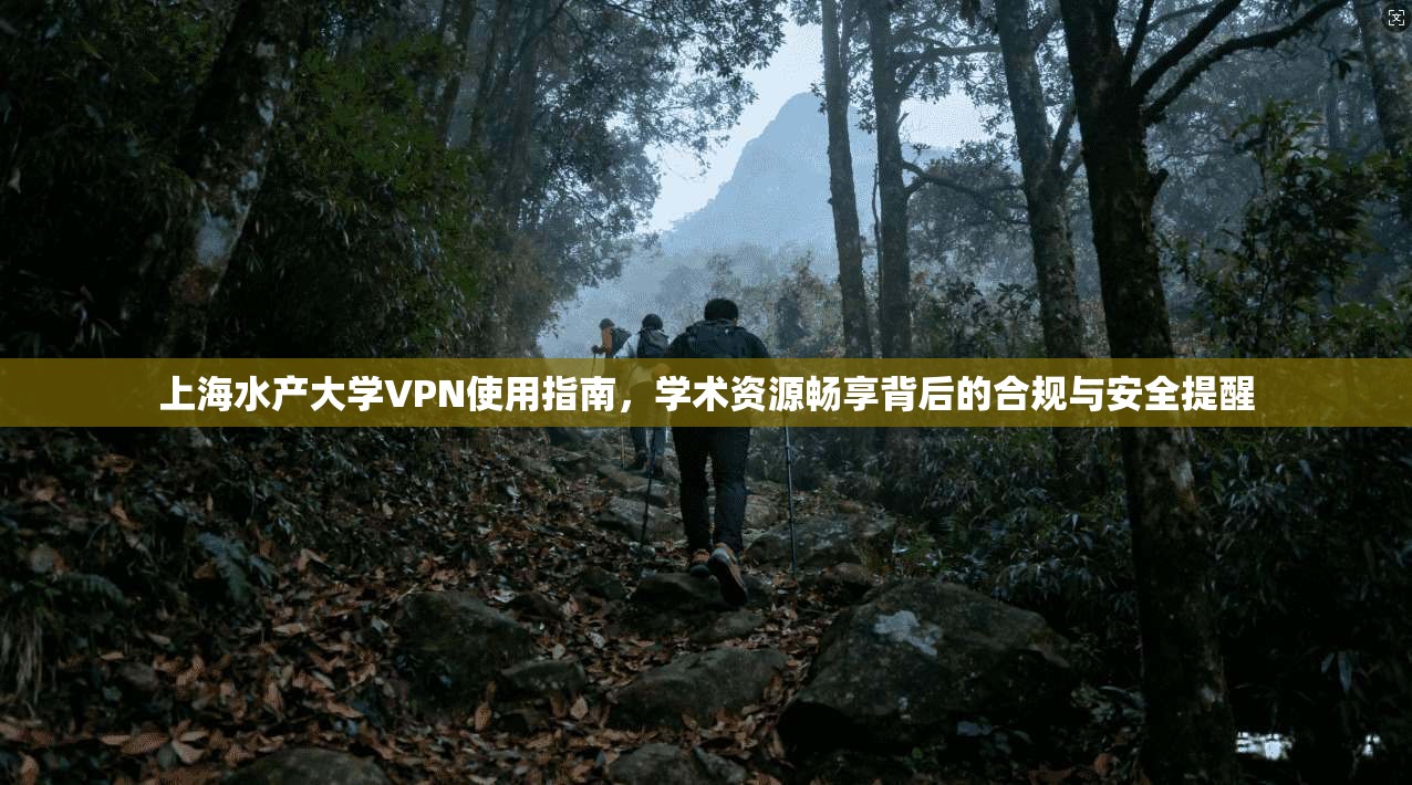 上海水产大学VPN使用指南，学术资源畅享背后的合规与安全提醒