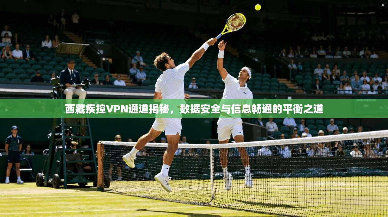 西藏疾控VPN通道揭秘，数据安全与信息畅通的平衡之道