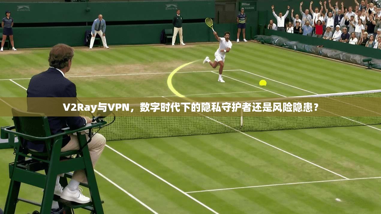 V2Ray与VPN，数字时代下的隐私守护者还是风险隐患？