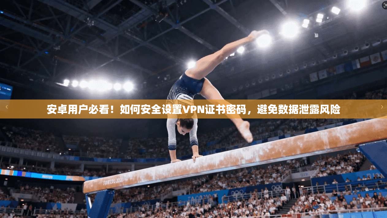 安卓用户必看！如何安全设置VPN证书密码，避免数据泄露风险