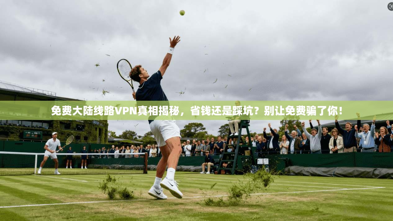 免费大陆线路VPN真相揭秘，省钱还是踩坑？别让免费骗了你！